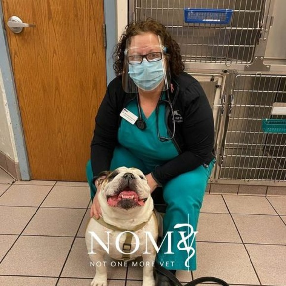 Meet your Posher, Michele - Picture 1 of 1